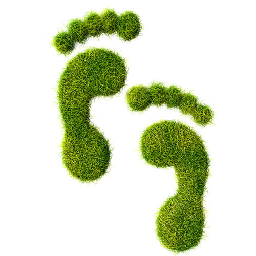 Two grass shape footprints